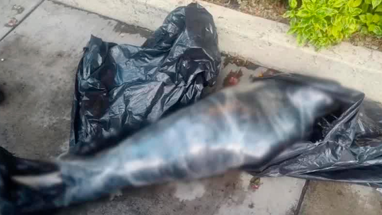 El cuerpo de una mujer envuelto en hule de playo fue abandonado en la colonia Arboleda Tenayuca, en Tlalnepantla.