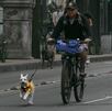 Después de varios días no se prevén lluvias en la Ciudad de México; la mayor parte del día hará calor.