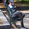 Personas sentadas en banca del Bosque de Chapultepec