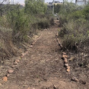 Un terreno abandonado que durante años fue utilizado como basurero podría convertirse en uno de los espacios naturales más importantes de San Luis Potosí.