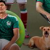 Un perro de la raza 'Caramelo' apareció en la convocatoria de la Selección Mexicana para el Mundial 2026.