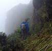 Hombre senderista visto de espaldas mientras camina entre pastizales y neblina en el Monte Liamuiga en la isla de St. Kitts y Nevis