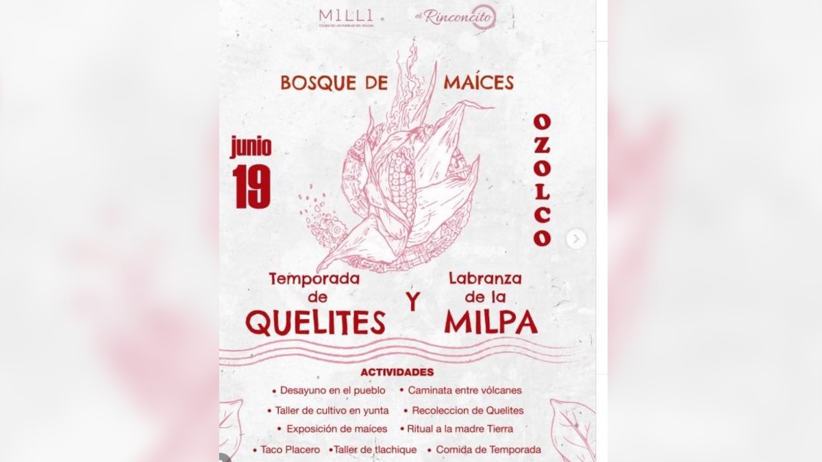 Infografía del programa de actividades en el Bosque de Maíces Puebla