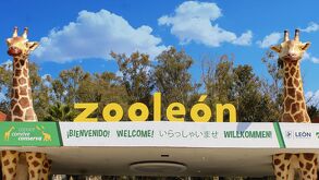 La asociación civil Va por sus Derechos prepara una denuncia penal contra el Zoológico de León.