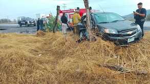 Vehículo accidentado conta árbol