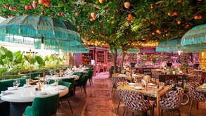 Interior del restaurante La Madalena en Guadalajara con mesas y decoración de distintos colores, plantas y un árbol de durazno en el medio