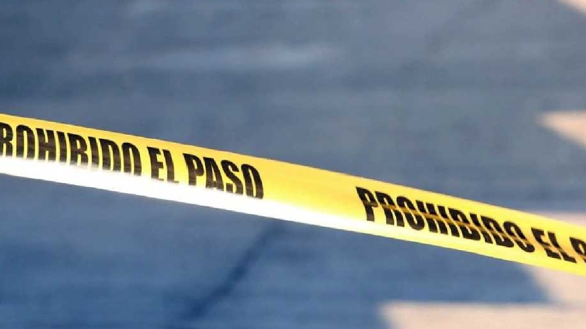 Cinta amarilla de prohibido el paso junto a árboles