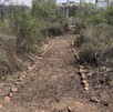 Un terreno abandonado que durante años fue utilizado como basurero podría convertirse en uno de los espacios naturales más importantes de San Luis Potosí.