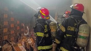 Bomberos de Guadalajara controlaron un incendio en el Mercado de Abastos. El siniestro dejó una persona lesionada y un gato rescatado con oxígeno.