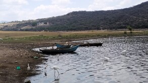 La Conagua y la PAOT  verificaron las condiciones ambientales de la Presa la Purísima y descartó indicios de contaminación reciente.