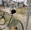 Bicicleta apoyada en una reja con ciclistas y automóviles circulando en calles de Zapopan