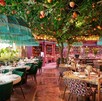 Interior del restaurante La Madalena en Guadalajara con mesas y decoración de distintos colores, plantas y un árbol de durazno en el medio
