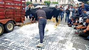 Hombre tirando leche en el centro de Xalapa.