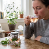 Descubre por qué esta raíz medicinal sigue siendo utilizada para aliviar molestias respiratorias y digestivas.