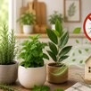 Las cucarachas continúan siendo uno de los insectos más problemáticos dentro de los hogares; te decimos cómo ahuyentarlas con plantas.