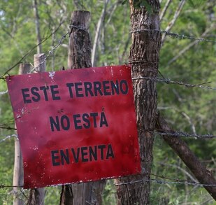 Se han tenido delitos de despojo en 31 municipios de Nuevo León