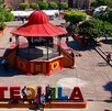 ¿Qué pasó en el Ayuntamiento de Tequila? La Fiscalía Anticorrupción revocó el fallo y suspendió a Génesis N. Descubre los delitos que enfrenta aquí.