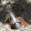 PEMEX localizó una segunda toma clandestina en menos de 20 días en el ducto Salamanca–Morelia, en Tarímbaro. La FGR inició investigación por robo de hidrocarbur