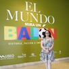 El recorrido reúne camisetas, balones, publicaciones, fotografías y diversos objetos