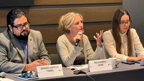 Paula Ramírez Höhne dejará el cargo como presidenta del IEPC