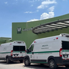 Una situación ocurrida en el centro de Saltillo reavivó la preocupación por la presencia de perros callejeros en la zona.