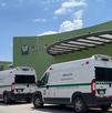 Una situación ocurrida en el centro de Saltillo reavivó la preocupación por la presencia de perros callejeros en la zona.