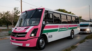 Se observa un camión en color blanco y rosa; está sobre la calle.