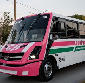 Se observa un camión en color blanco y rosa; está sobre la calle.