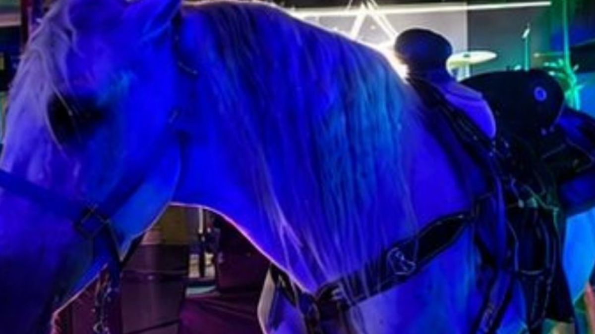 Caballo en restaurante.