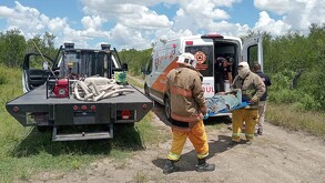 Dos trabajadores resultaron lesionados tras ser atacados por un enjambre de abejas durante labores de limpieza en General Terán.