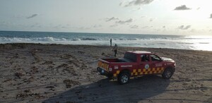 Autoridades de Jalisco se unen al operativo en Playa Pascuales para localizar a un joven de Guadalajara desaparecido. Entérate de los detalles.