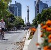 Ciclistas del Paseo Dominical en Ciudad de México