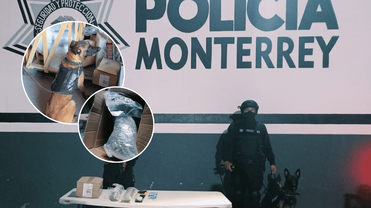 El perro policía 