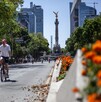 Ciclistas del Paseo Dominical en Ciudad de México