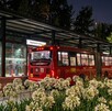 Metrobús en horario nocturno