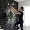El eucalipto proporciona un ambiente de relajación en el baño gracias a sus propiedades.