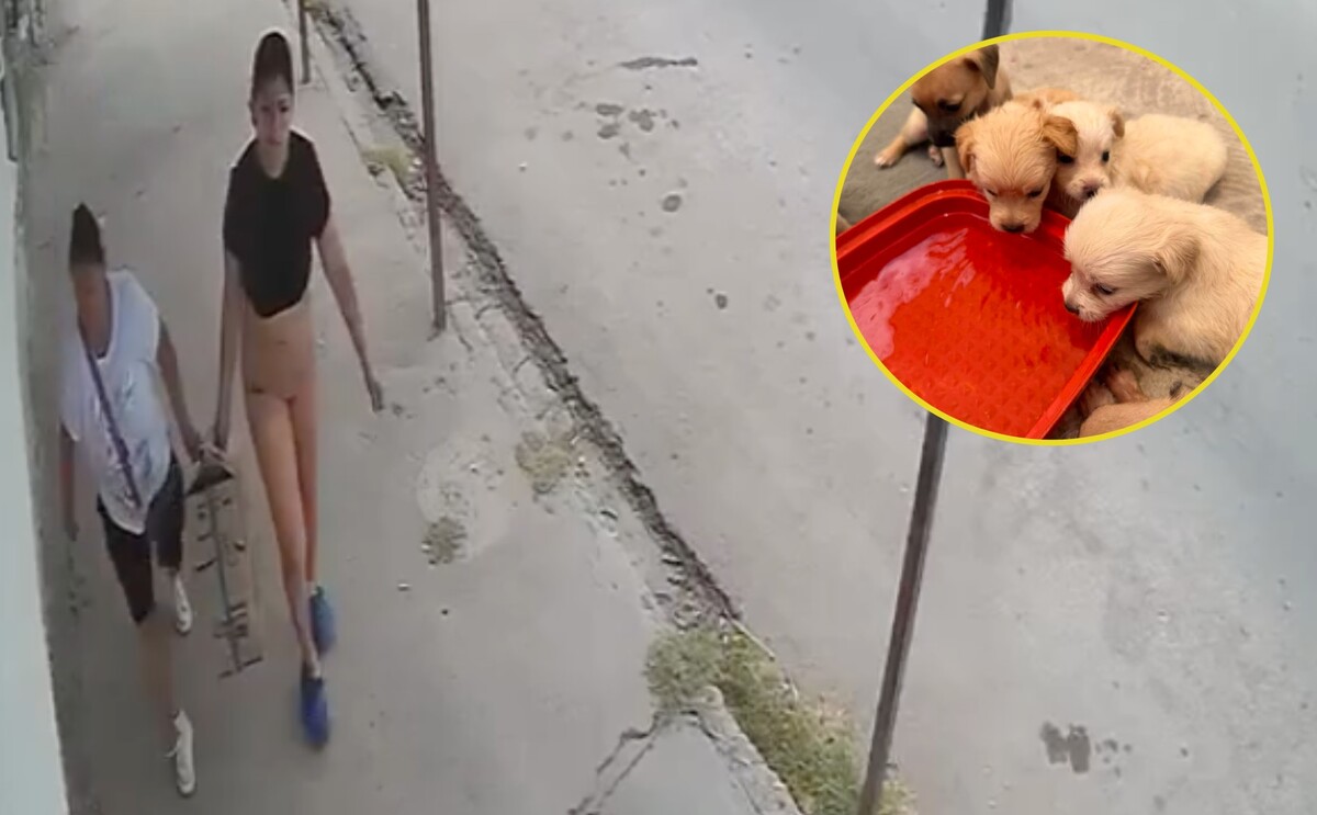 Mujeres abandonando siete cachorros en una caja en plaza pública de colonia Magdalenas.