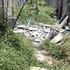 Se observa basura tirada entre matorrales.