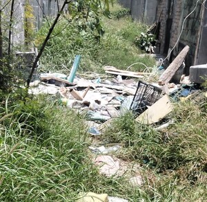 Se observa basura tirada entre matorrales.