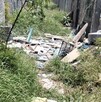Se observa basura tirada entre matorrales.