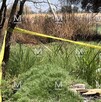 En el interior de un pozo en desuso, ubicado en la comunidad de Mexicanos, en el municipio de Villagrán, fueron localizados restos humanos.