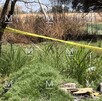 En el interior de un pozo en desuso, ubicado en la comunidad de Mexicanos, en el municipio de Villagrán, fueron localizados restos humanos.