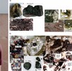 Investigadores de la Universidad Autónoma de San Luis Potosí (UASLP) identificaron en el municipio de Rayón evidencias del límite Cretácico-Paleógeno (K/Pg).