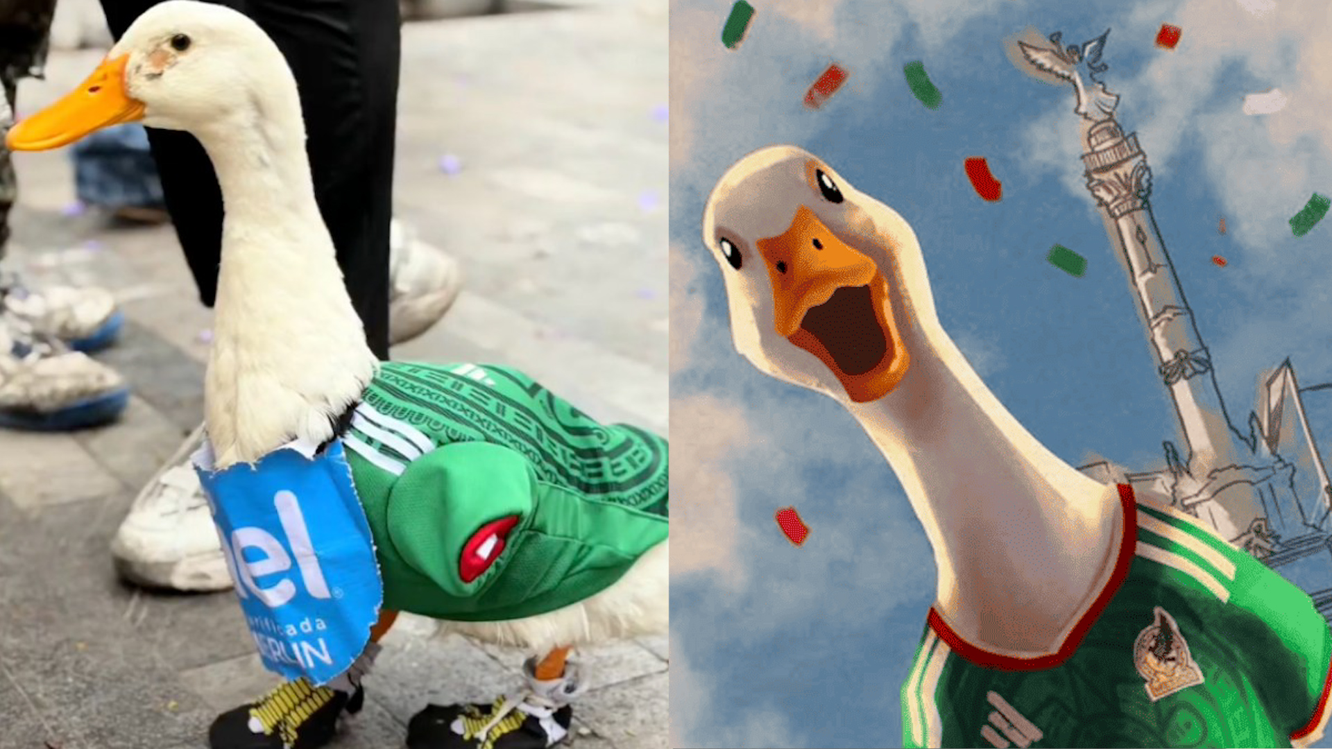 Merlín, pato viral que juega fútbol, es embajador de México en la FIFA. Carla y Christian comparten cómo este patito mágico conquistó redes sociales.
