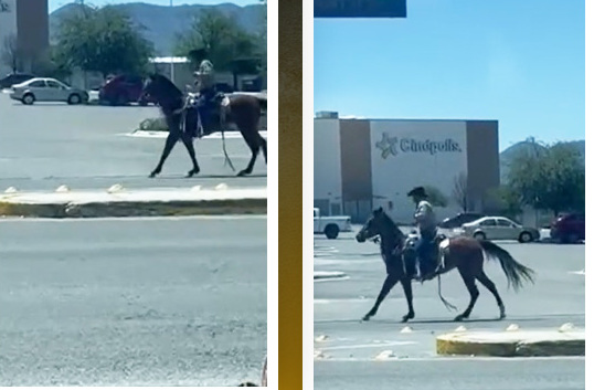 El video en donde se ve al hombre montar su caballo ha alcanzado más de 35 mil reproducciones en TikTok.