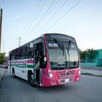 Con horarios extendidos y recorridos especiales, llegar al evento será más sencillo durante los fines de semana.
