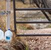 Mujeres muertas desierto de Arizona, salieron de Puebla en busca del sueño americano
