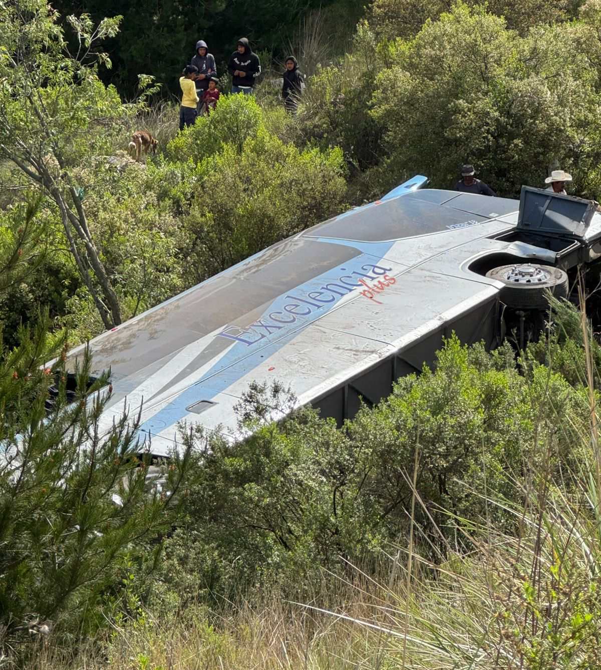 Autobús cae de barranco en autopista Toluca-Zitácuaro