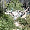 Se observa basura tirada entre matorrales.
