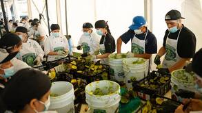 Jalisco rompe el récord Guinness del guacamole más grande del mundo.